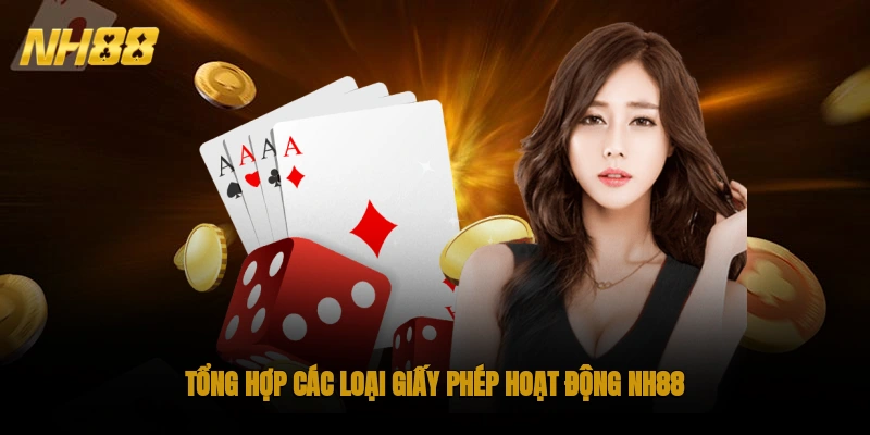 Tổng hợp các loại giấy phép hoạt động NH88